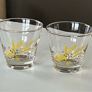 VTG Autumn Gold Homer Laughlin glasses for Century Service 1950s DOF set/2